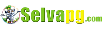selvapg - Jogos Bet Fácil